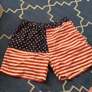 Chubbies American Flag Shorts